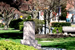 Doylestown Trees April 2008